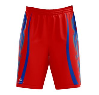 Triumph Boy's basketball shorts