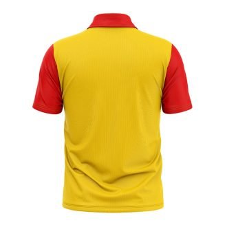 India Printed Cricket Team T-shirts for Men