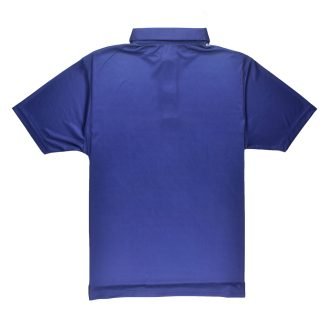 Triumph Golf Polo Tshirt For Men
