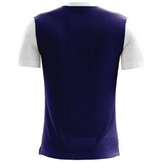 Lord Shiva Printed Casual T-shirt Blue and White