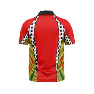 Cricket Sports Jerseys for Team Player